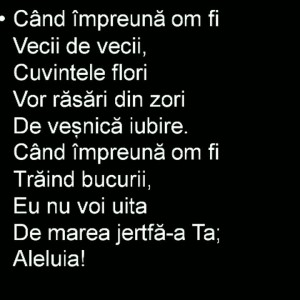 Program Special Cuza Voda