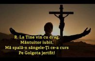 La a Ta chemare vin