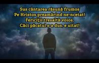 Ne așteaptă un cămin strălucit
