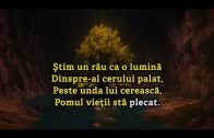 Stim un rau